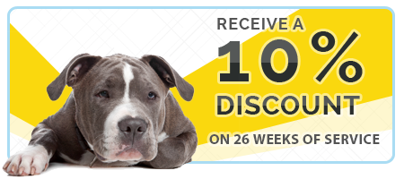 Receive a 10% Discount On Services After 26 Weeks Of Service