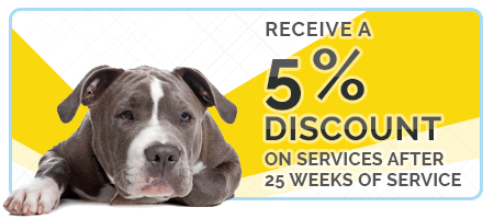 Receive a 5% Discount On Services After 26 Weeks Of Service